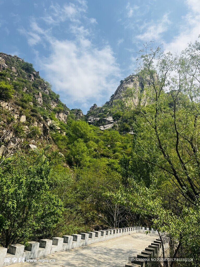 风景 绿树 美景 蓝天 白云