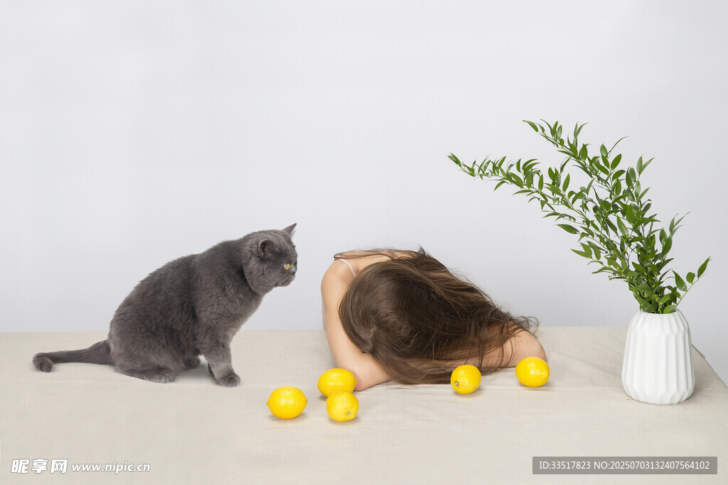 猫咪与女子同玩黄色圆球