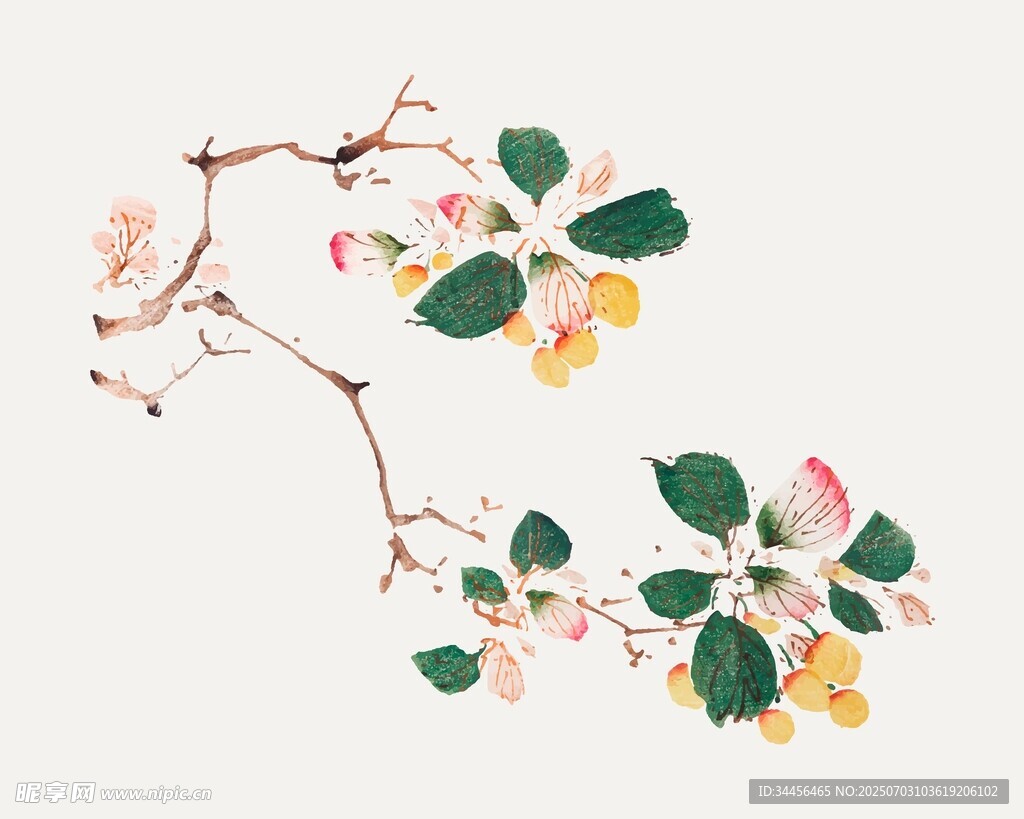 中式手绘花卉枝叶图案