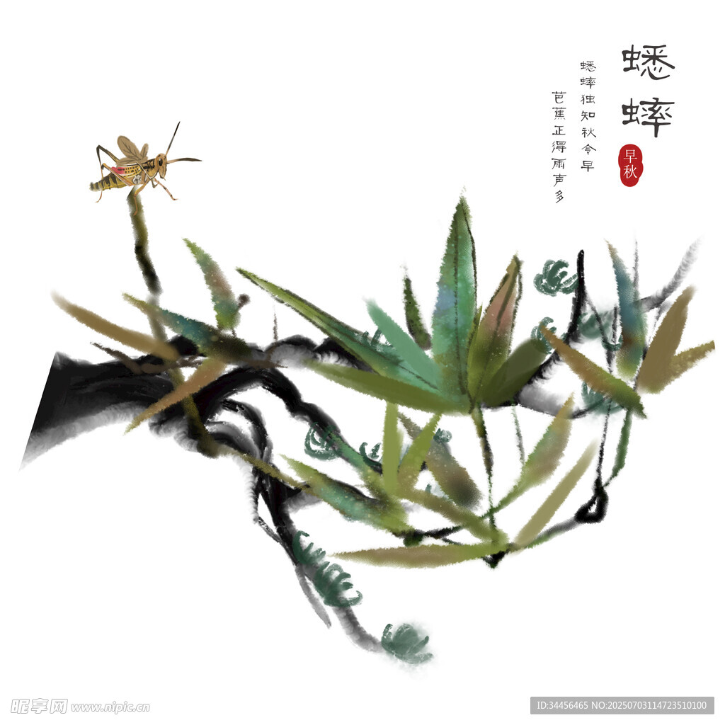 水墨风蜻蜓兰花图