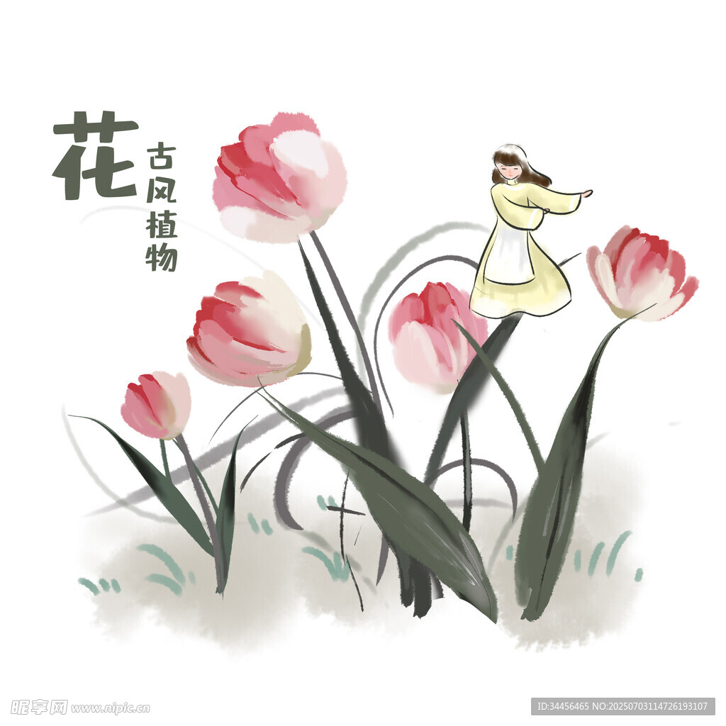 水墨风郁金香与飞鸟