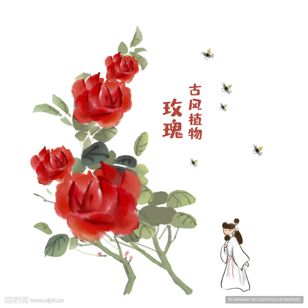 古风玫瑰与古典女子插画