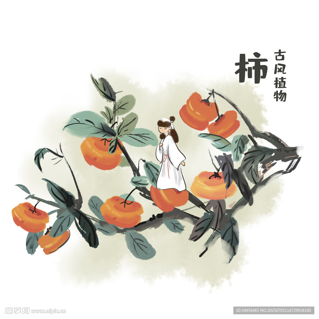 水墨风枝头双鸟与柿子图