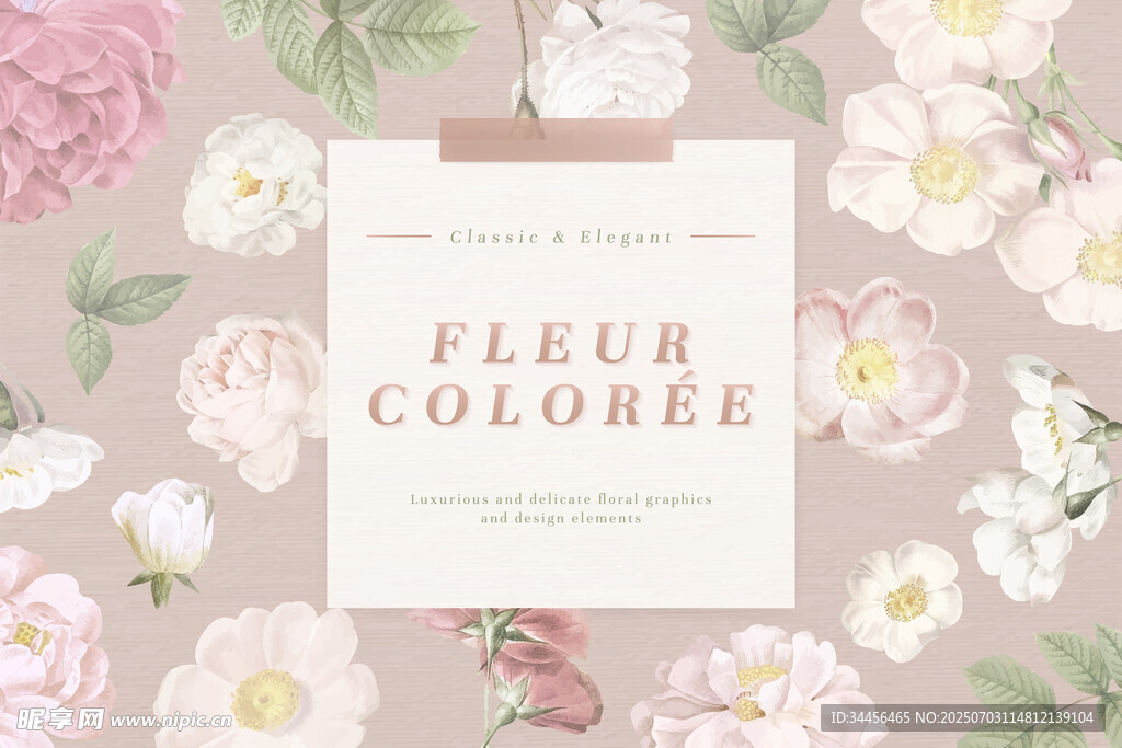 花卉FLEUR COLOREE