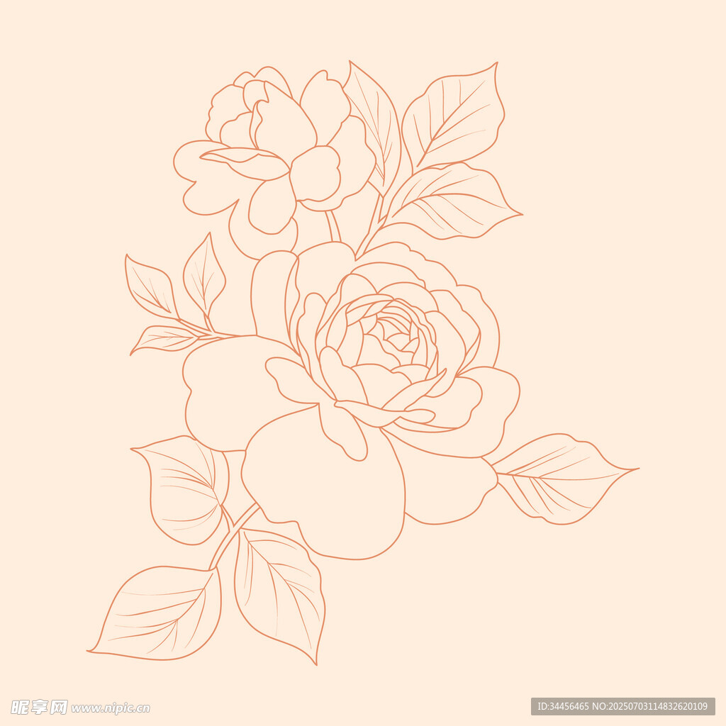 手绘线条花卉图案