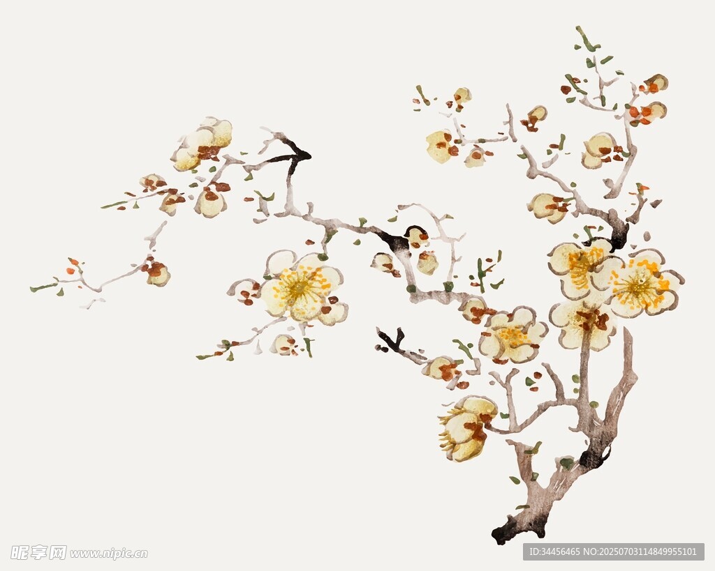 水墨梅花枝头绽放