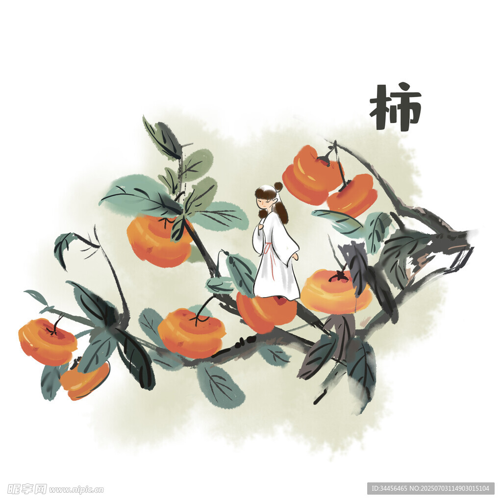 水墨风枝头双鸟与柿子图