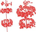 大瓦山转转花