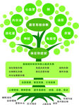 功能医学树