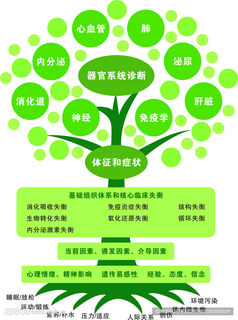 功能医学树