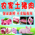 农家土猪肉