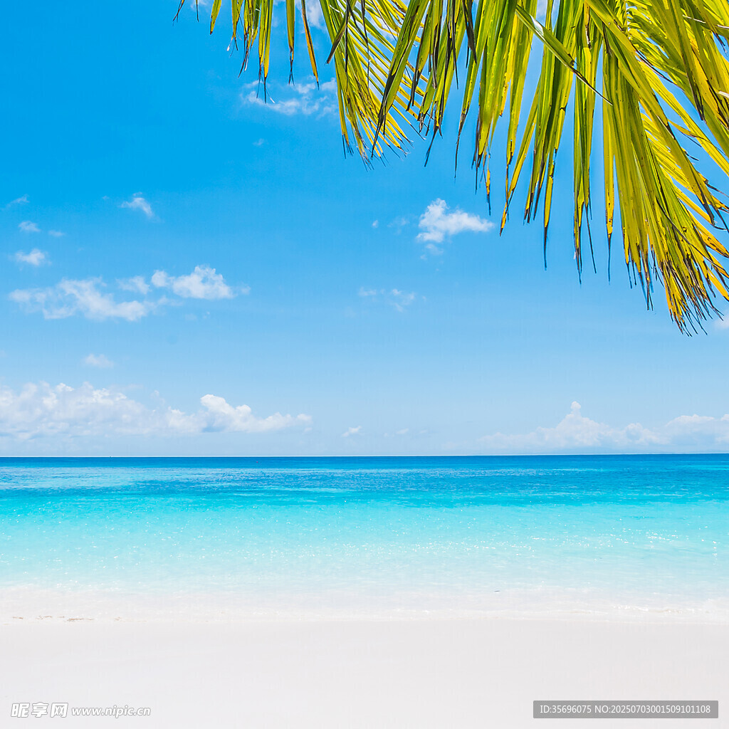 热带海滩美景