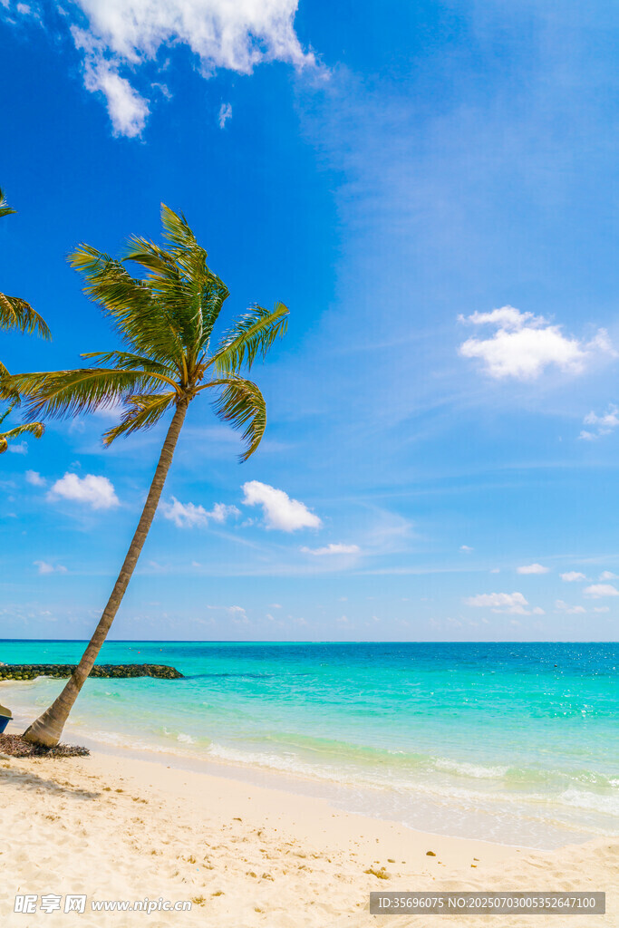大海