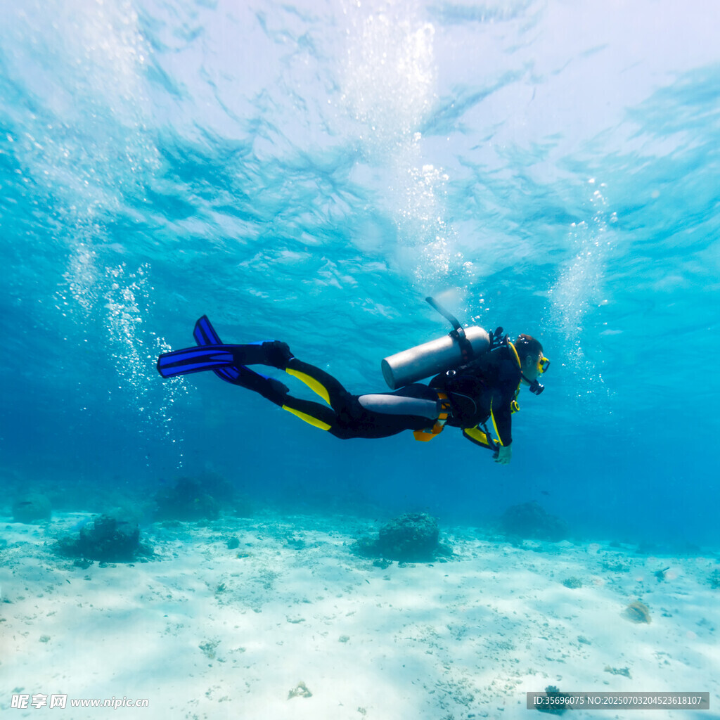 潜水员海底畅游