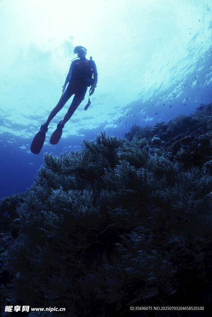 深海潜水员探索海底世界