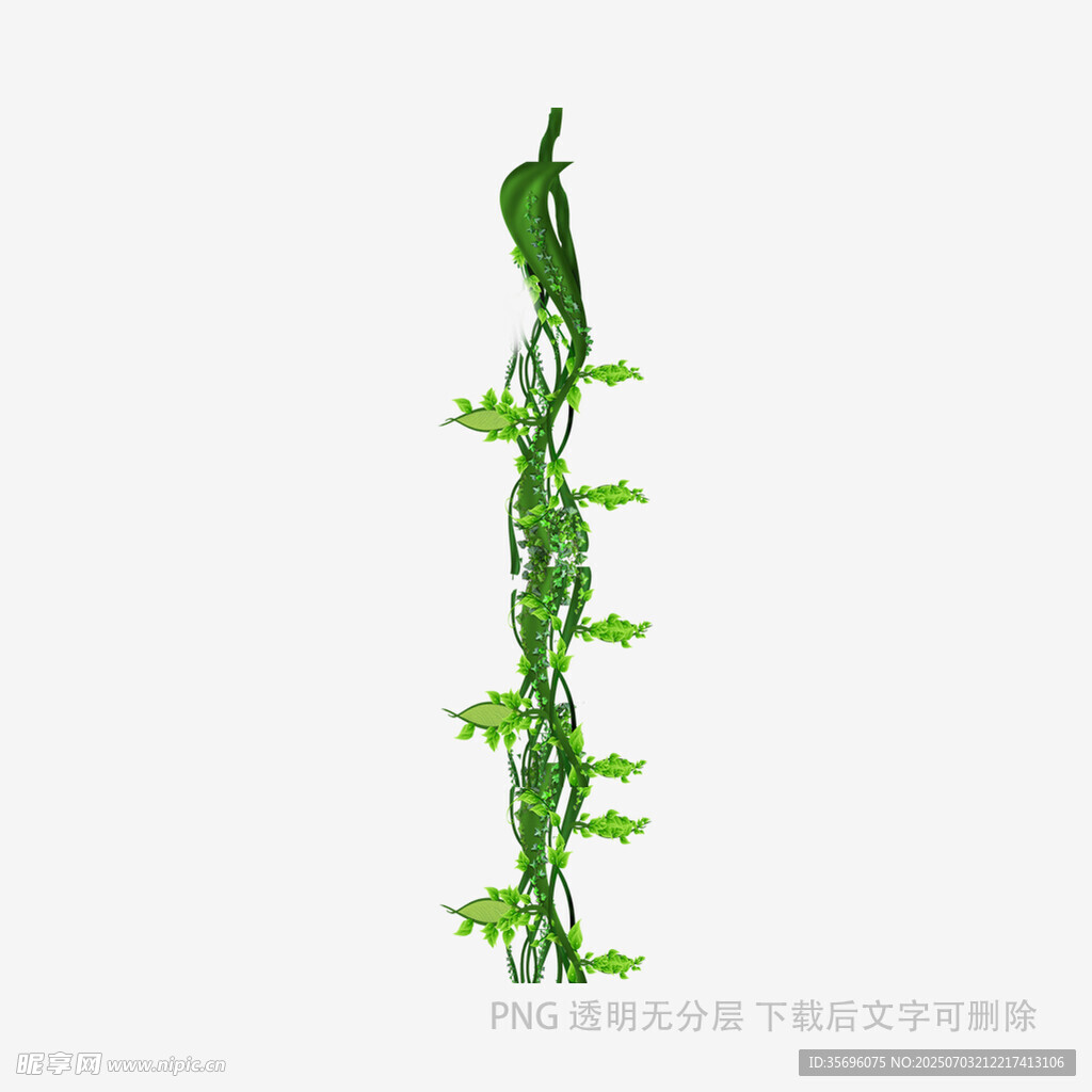 绿色藤蔓植物垂直生长图