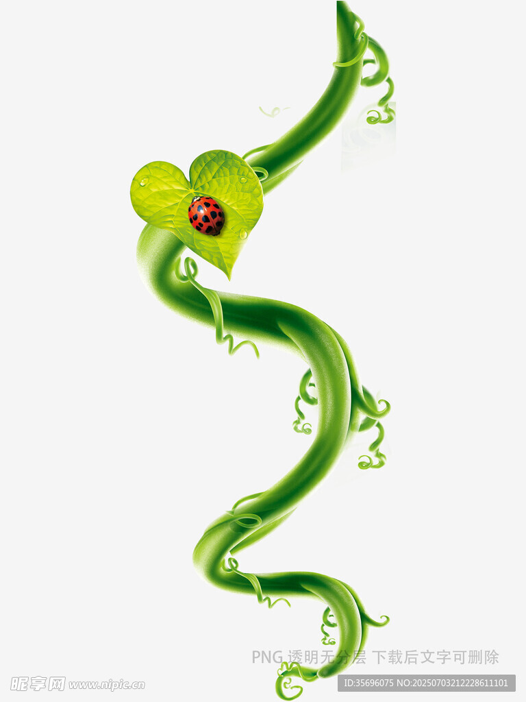 绿色藤蔓花朵创意插画