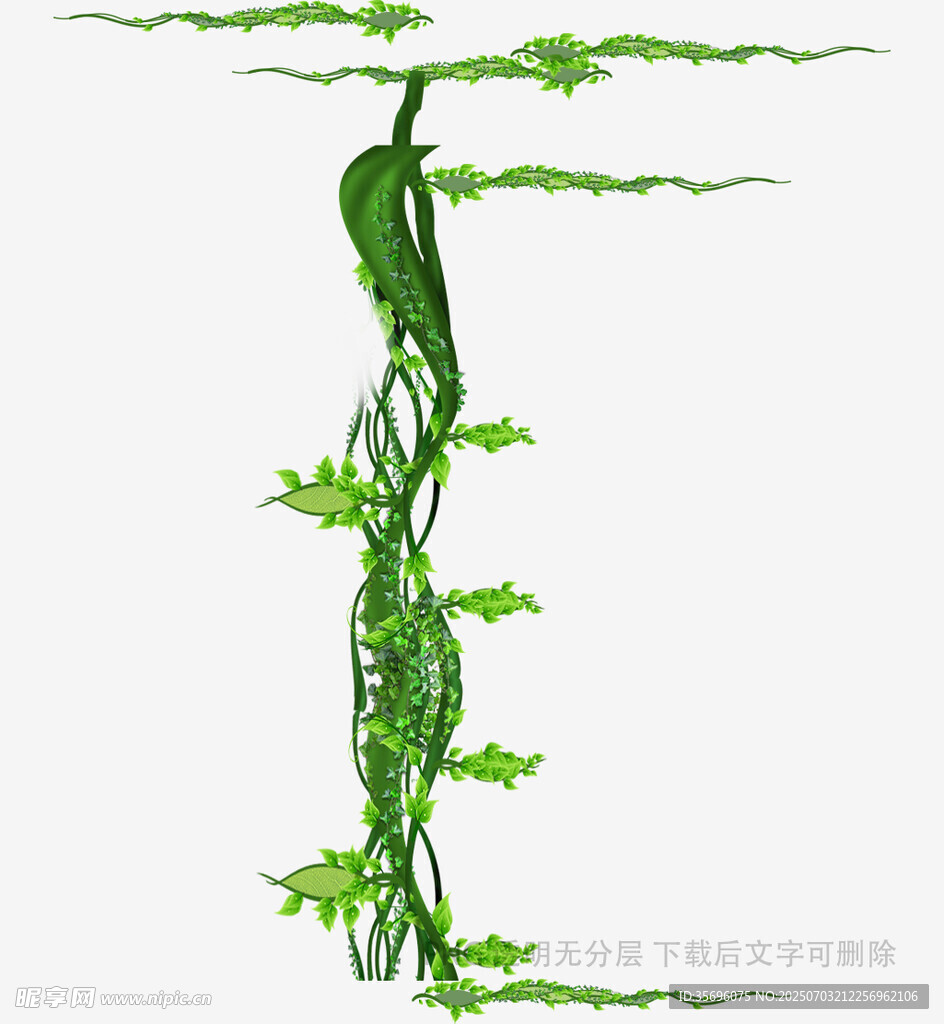 藤蔓缠绕绿植插画元素