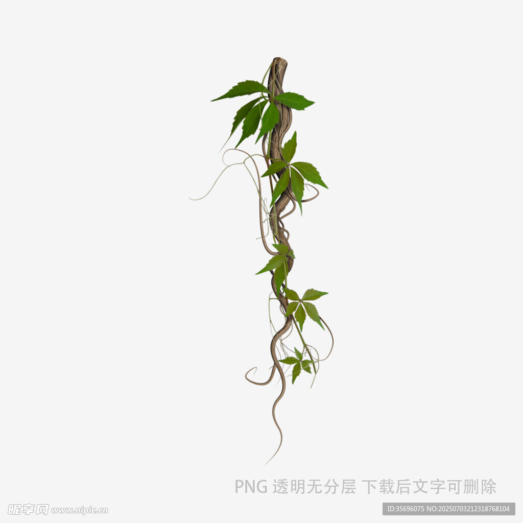 藤蔓