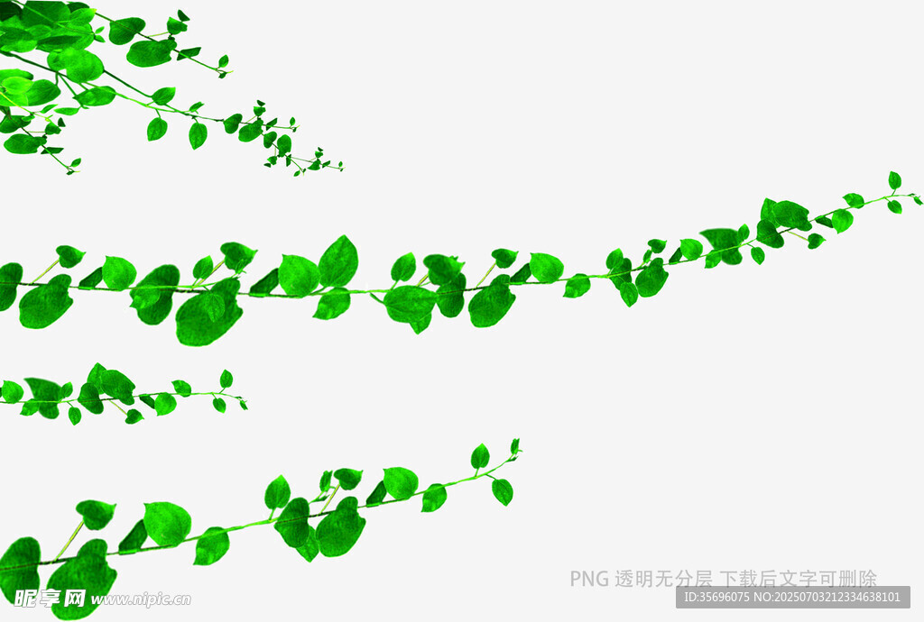 绿色动感树叶背景图