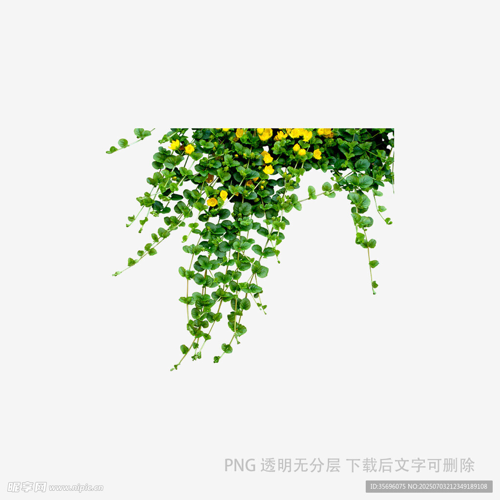 垂挂绿植花卉装饰图案