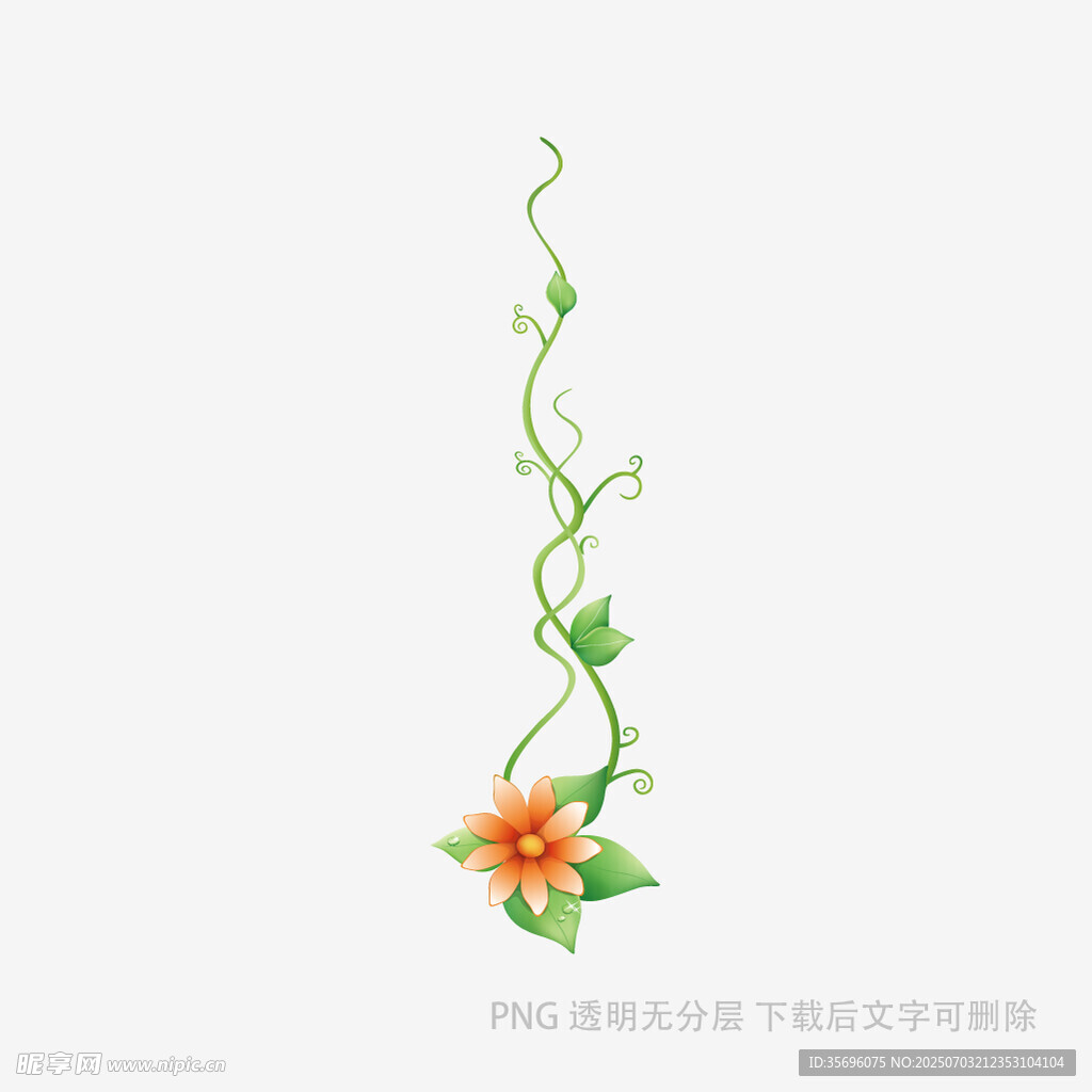 绿色藤蔓上的橙色小花