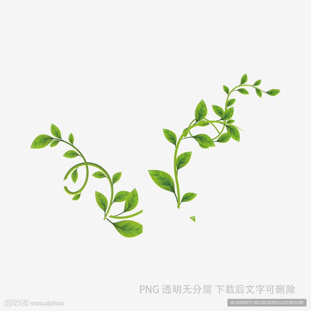 清新绿叶藤蔓装饰元素