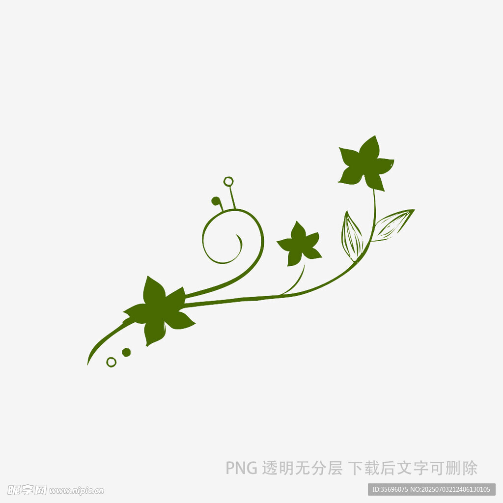 绿色藤蔓装饰图案