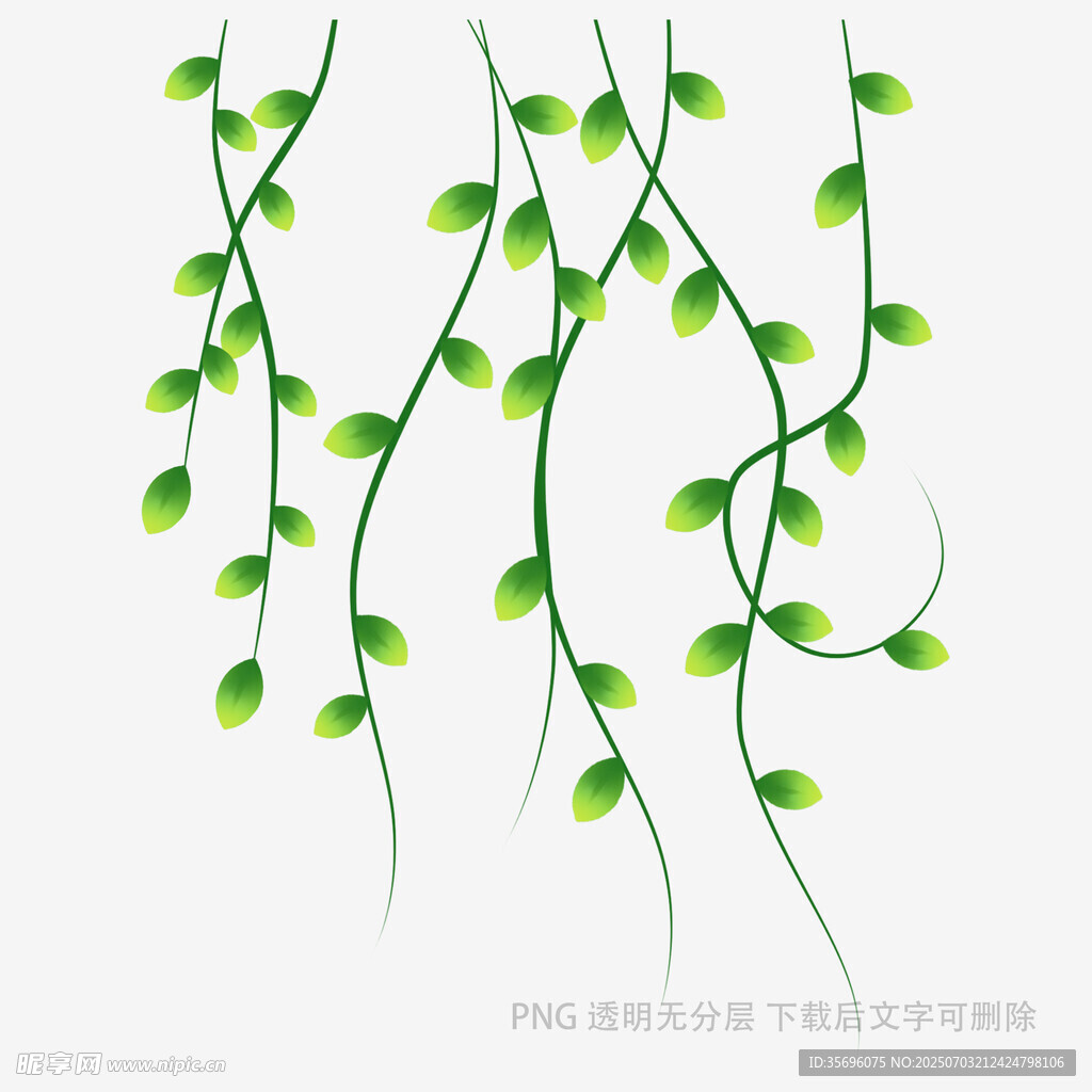 嫩绿藤蔓装饰图案