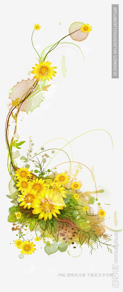 绽放的黄色花卉艺术插画