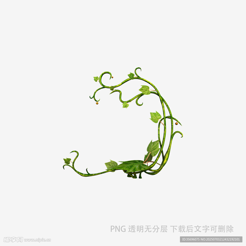 藤蔓绿植艺术造型