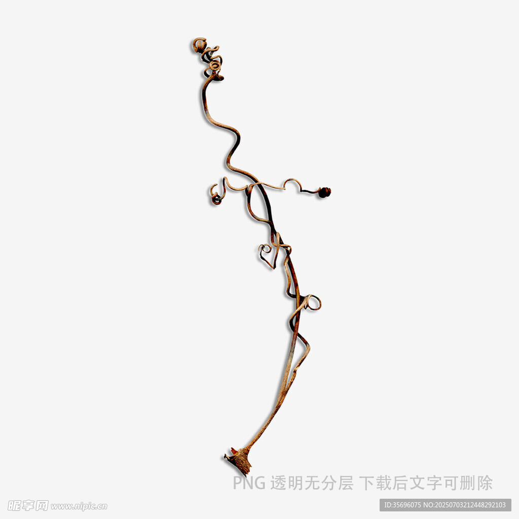 干枯藤蔓植物特写