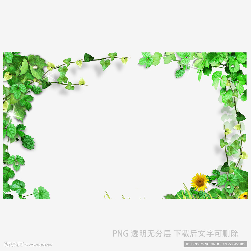 绿叶环绕的清新边框背景