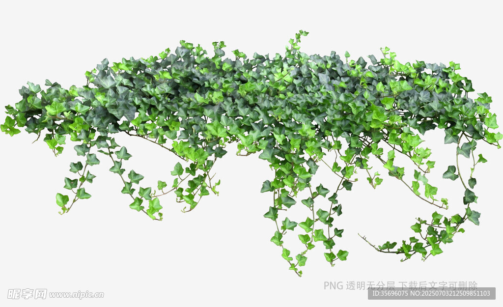 垂挂绿植藤蔓装饰摆件