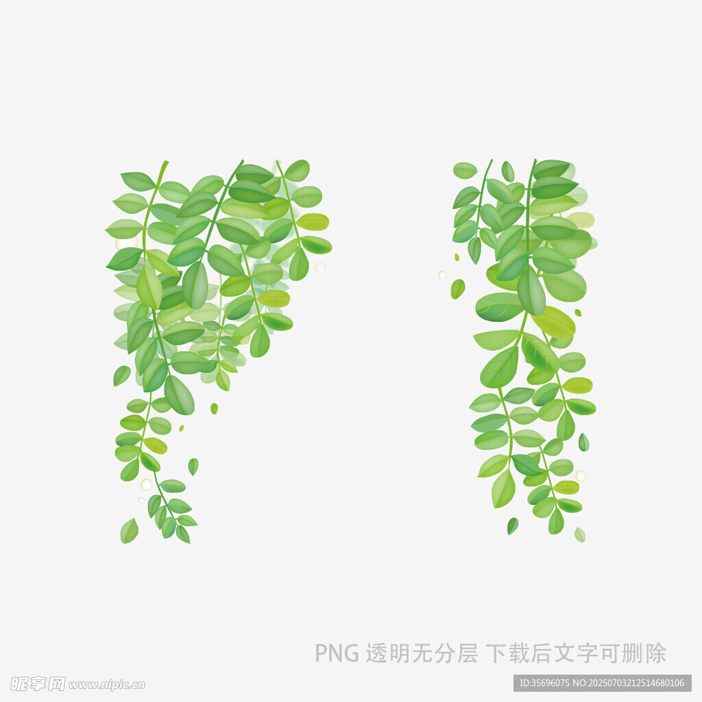 垂挂绿叶植物矢量插画