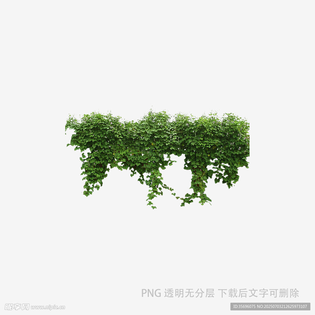 垂挂绿植装饰元素
