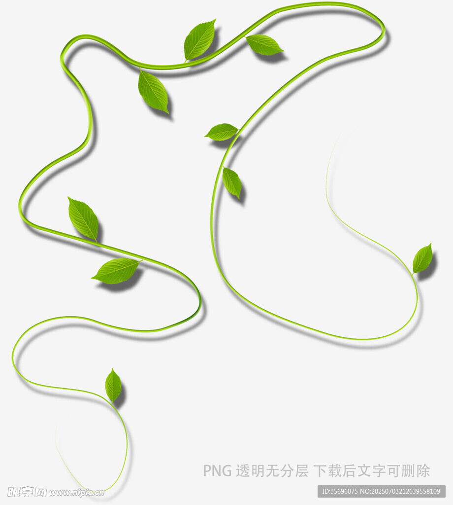 绿色藤蔓与嫩叶装饰图案