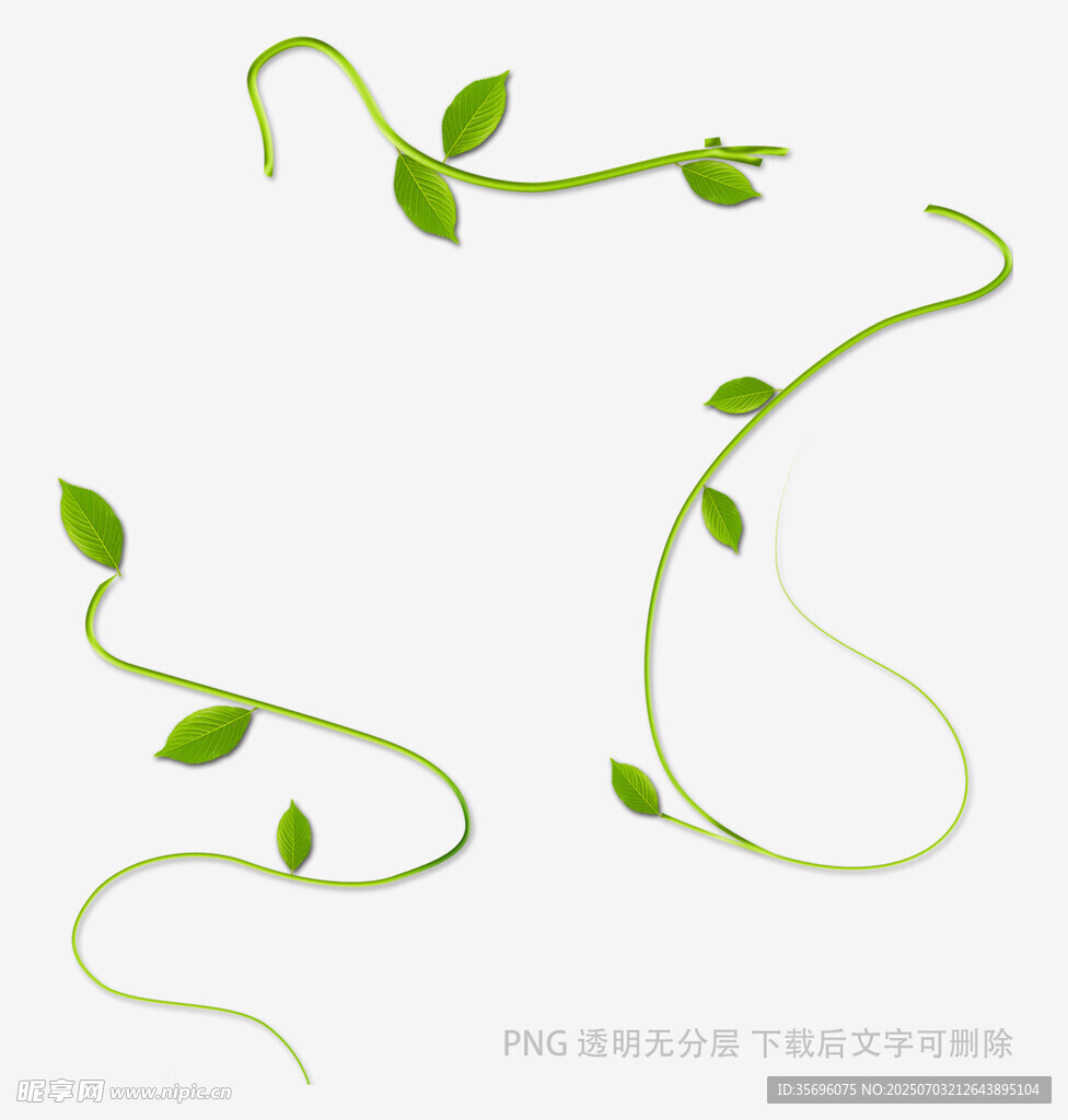 绿色藤蔓植物素材