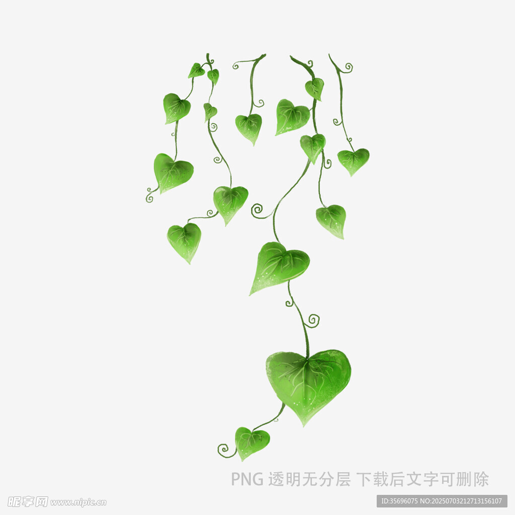 心形藤蔓插画