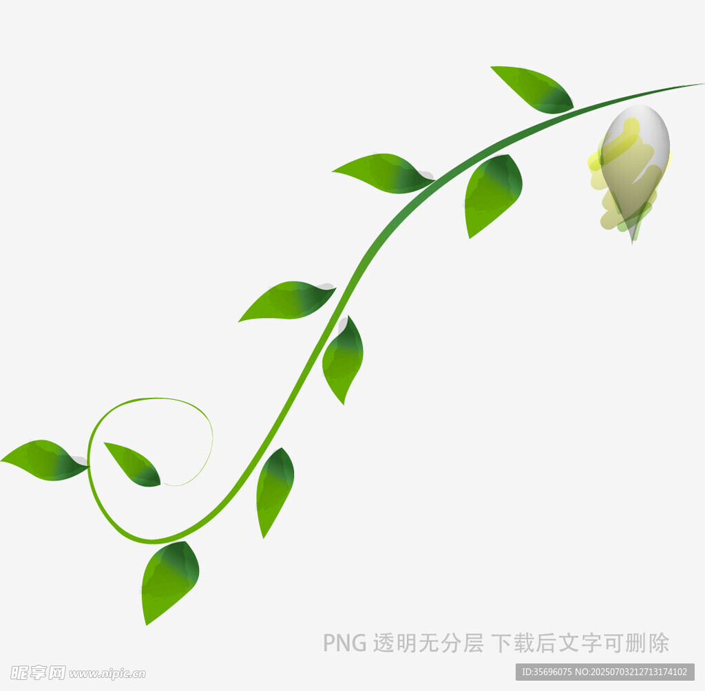 藤蔓上的小鸟与绿叶
