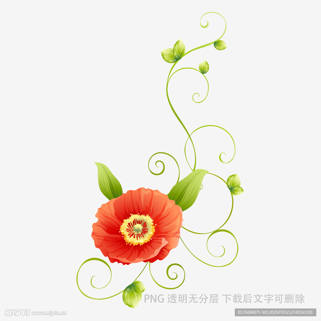 红色花朵藤蔓装饰图案