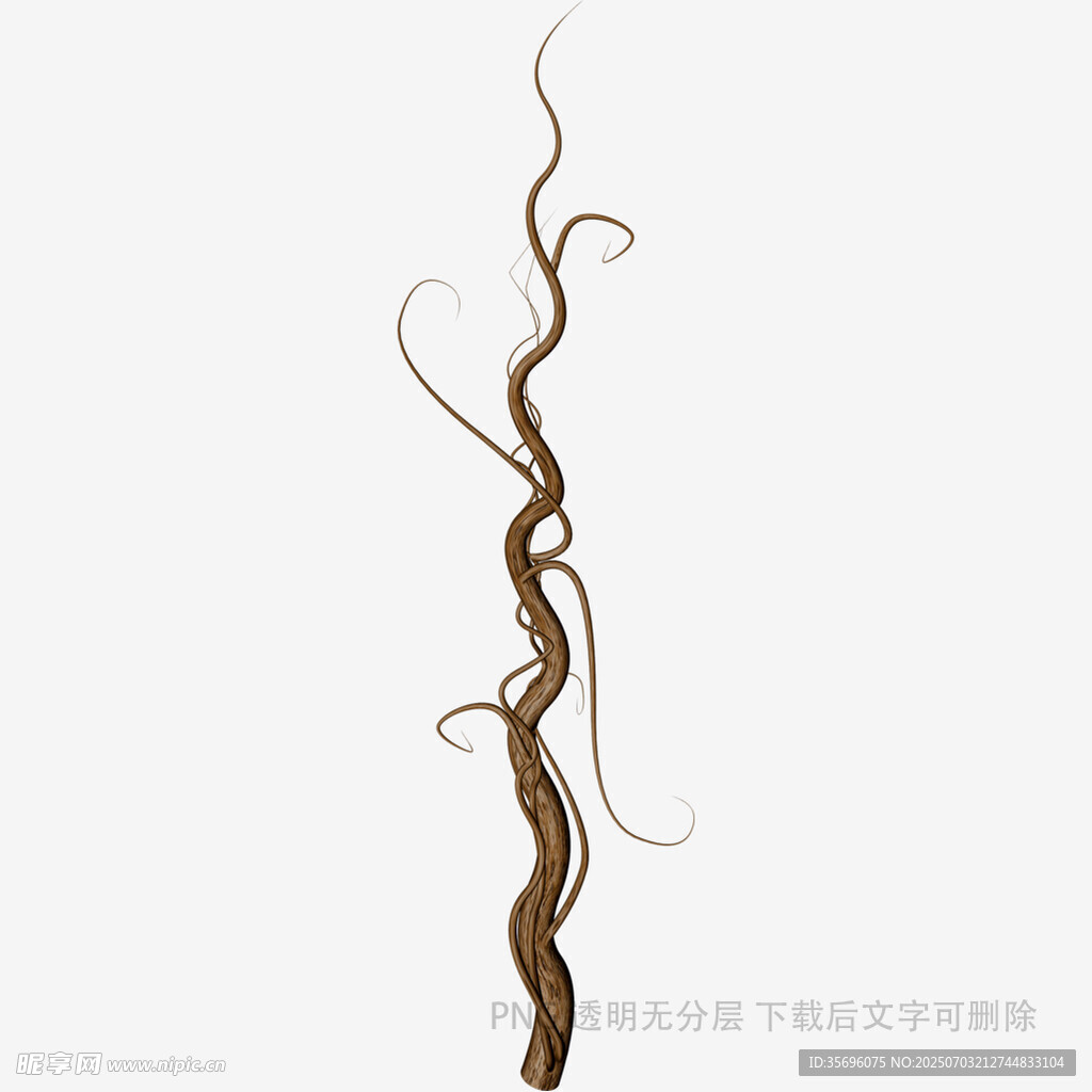 扭曲缠绕的棕色藤蔓