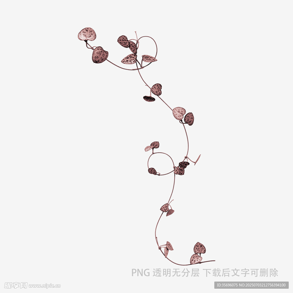 藤蔓花朵装饰图案