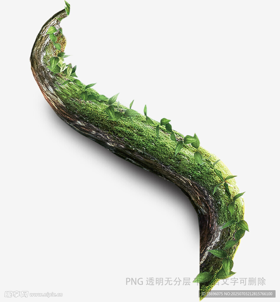 长满绿植的弯曲物体
