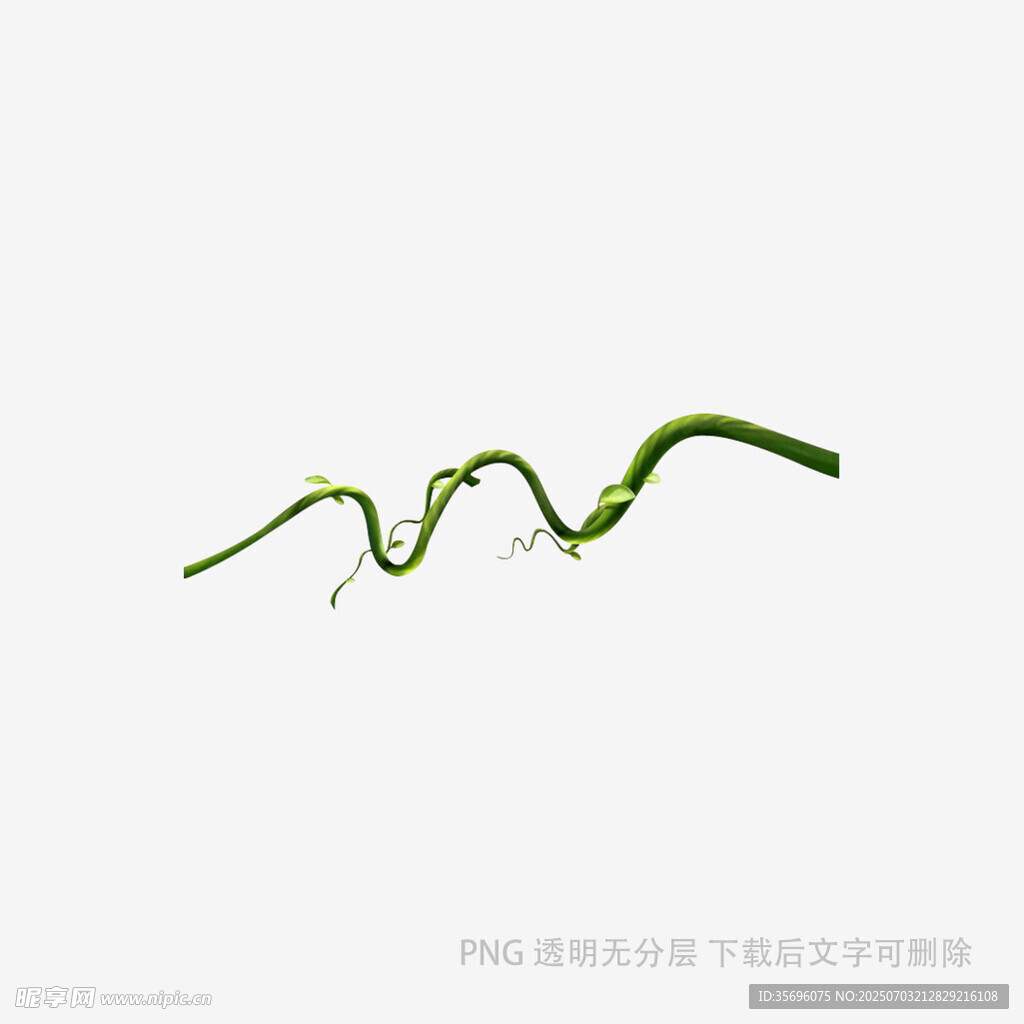 弯曲的绿色藤蔓