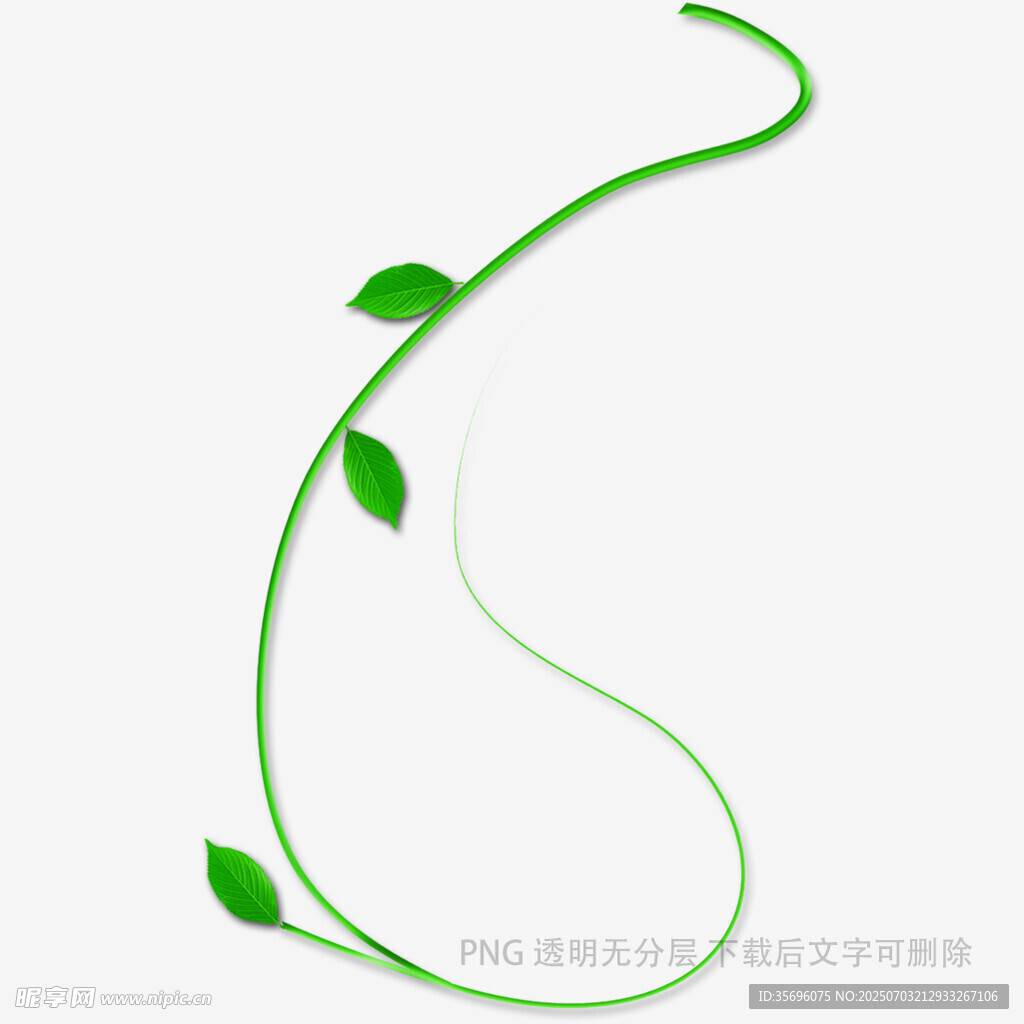 绿色藤蔓装饰图案