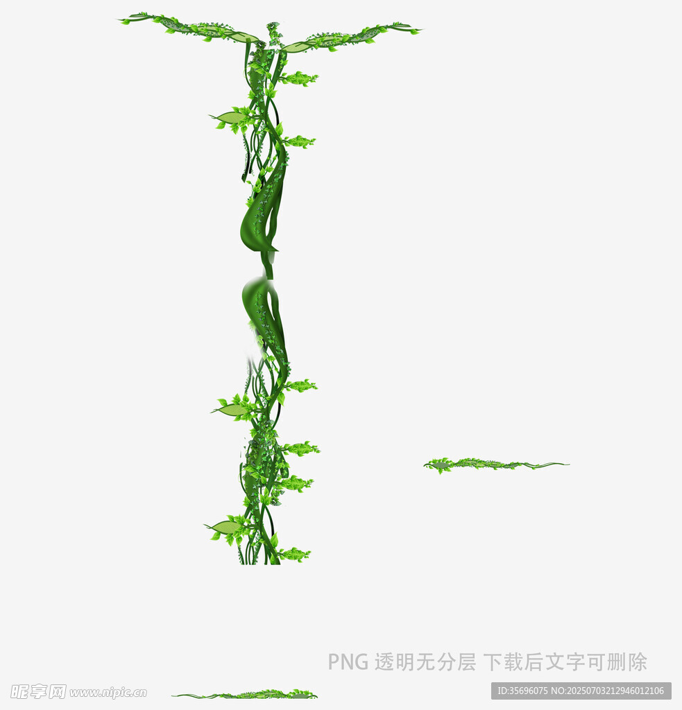 嫩绿藤蔓植物特写