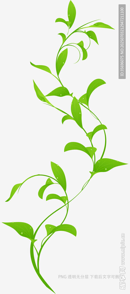 绿色藤蔓植物装饰图案