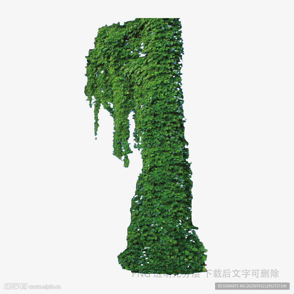 绿色藤蔓数字1造型装饰