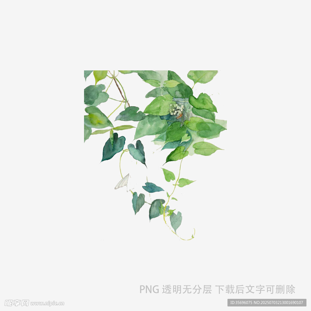 清新绿叶装饰图案